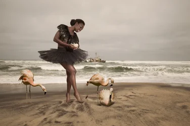 Ballerine et flamants roses de plage