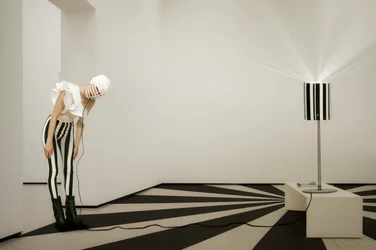 Vision rayée noir et blanc
