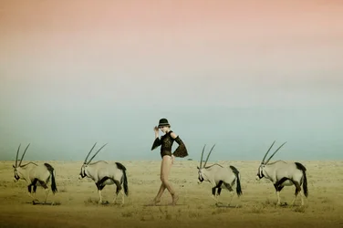Promenade dans le désert avec des oryx