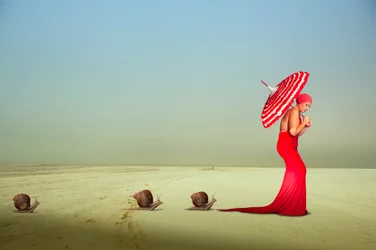 Un voyage élégant tout en rouge