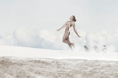 Les pingouins « femmes volantes »