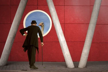 Le gentleman et l