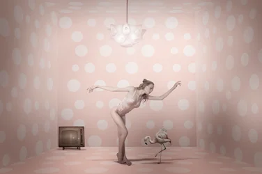 Danseuse flamant rose à pois roses