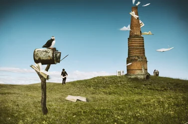 Livres « Puffin Flying »