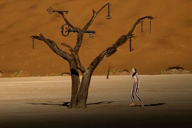 Arbre-clé du désert surréaliste