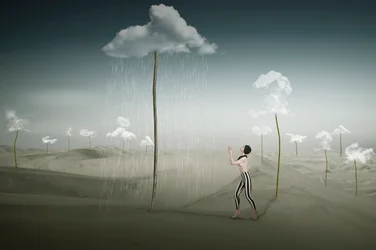 Une pluie surréaliste dans le désert