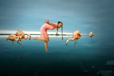 Une femme parmi les flamants roses