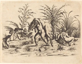 Trois putti avec un taureau mort