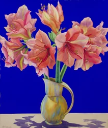 Amaryllis dans un pichet, 2007