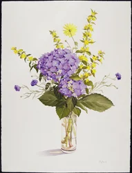 Hortensia bleu avec lysimaque jaune