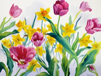 Jonquilles et tulipes