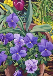 Pots de fleurs avec des pensées, 2007