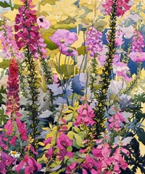 Jardin avec des digitales