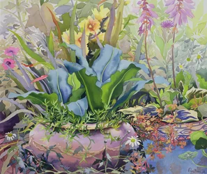 Jardin avec des plantes, 2000