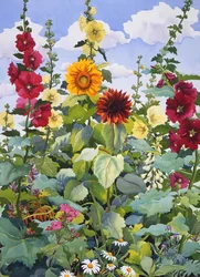 Rose trémière et tournesols, 2003
