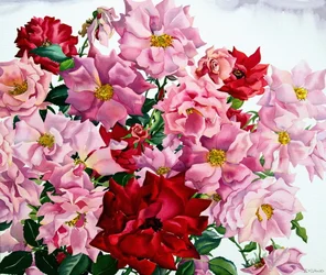 Roses rouges et roses, 2008