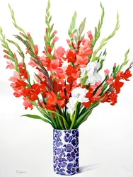 Gladioli rouges et blancs