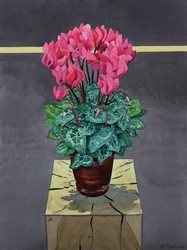Nature morte Cyclamen