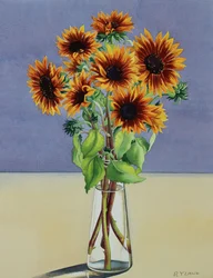Tournesols