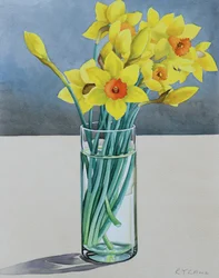 Jonquilles de Supermarché