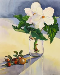 Bégonia blanc et cynorrhodons