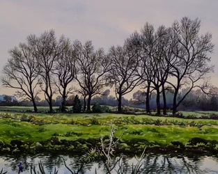 Arbres d