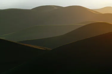 Collines ondulantes dorées