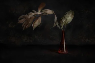 Nature morte botanique sombre
