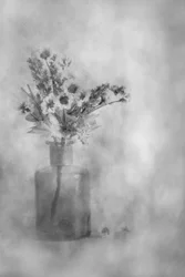 Fleurs rêveuses en noir et blanc