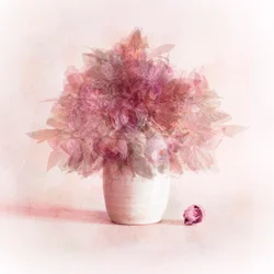 Fleurs roses rêveuses