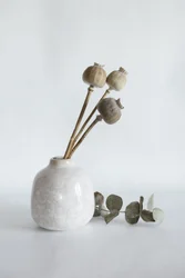 Vase aux capsules de pavot séchées
