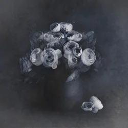 Élégantes fleurs grises