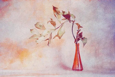 Feuilles fanées, vase orange