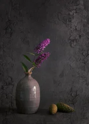 Fraîchement du jardin