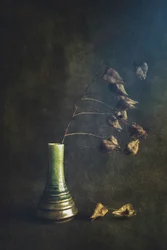 Gousses séchées dans un vase vert