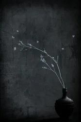 Branche minimaliste avec des papillons
