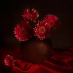 Nature morte mélancolique aux gerberas