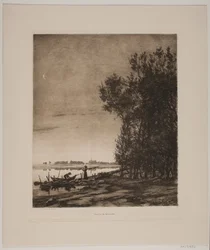 Arbres près d
