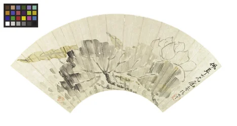 Fleur de lotus et feuilles