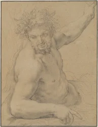 Faune allongé