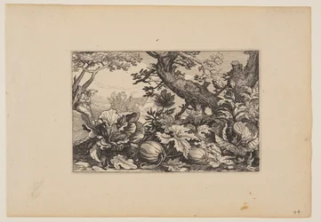 Arbre et melons, de Paysages (Verscheyden aerdige Lanthuysen...)
