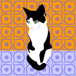 Chat sur des carreaux marocains