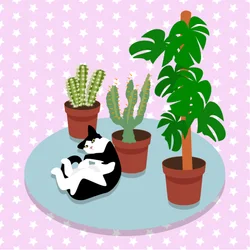 Le chat et les cactus
