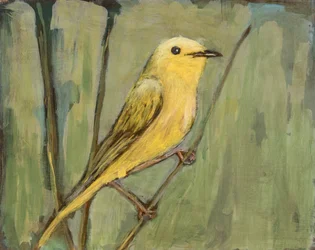 Oiseau jaune vif