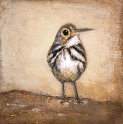 Petit oiseau curieux