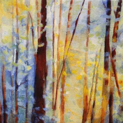 Lumière de la forêt enchantée