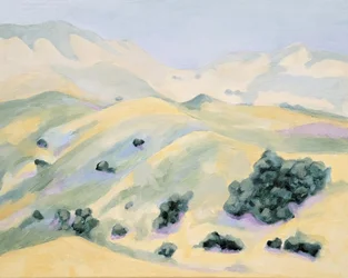 Des collines ondulantes et sereines