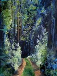 Sentier forestier ensoleillé