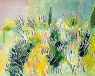 Une floraison éclatante au jardin