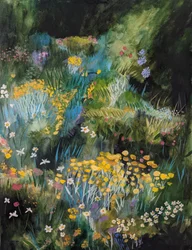 Jardin de fleurs sauvages